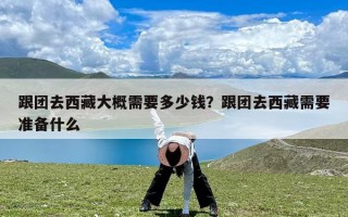 跟团去西藏大概需要多少钱？跟团去西藏需要准备什么