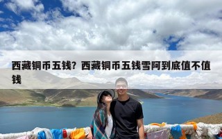 西藏铜币五钱？西藏铜币五钱雪阿到底值不值钱