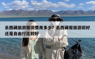 去西藏旅游报团费用多少？去西藏报旅游团好还是自由行比较好