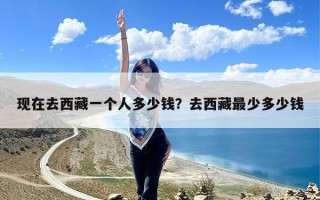 现在去西藏一个人多少钱？去西藏最少多少钱