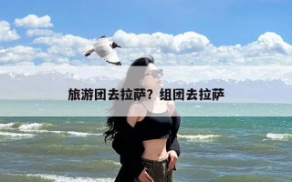 旅游团去拉萨？组团去拉萨