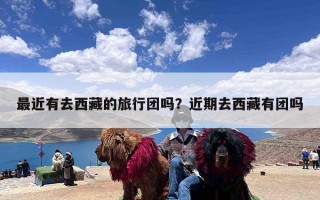 最近有去西藏的旅行团吗？近期去西藏有团吗