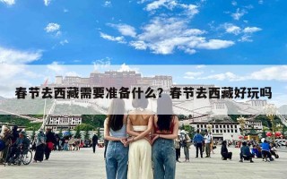 春节去西藏需要准备什么？春节去西藏好玩吗