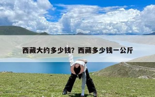 西藏大约多少钱？西藏多少钱一公斤