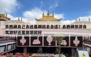 去西藏自己去还是跟团去合适？去西藏旅游自驾游好还是旅游团好
