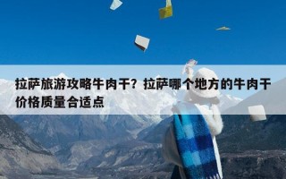 拉萨旅游攻略牛肉干？拉萨哪个地方的牛肉干价格质量合适点