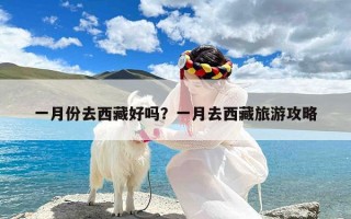 一月份去西藏好吗？一月去西藏旅游攻略