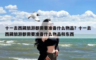 十一去西藏旅游都需要准备什么物品？十一去西藏旅游都需要准备什么物品和东西