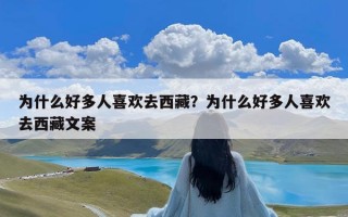 为什么好多人喜欢去西藏？为什么好多人喜欢去西藏文案