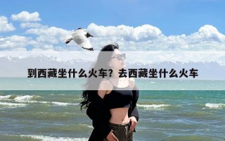 到西藏坐什么火车？去西藏坐什么火车