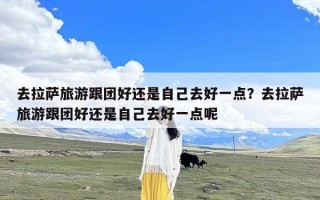 去拉萨旅游跟团好还是自己去好一点？去拉萨旅游跟团好还是自己去好一点呢