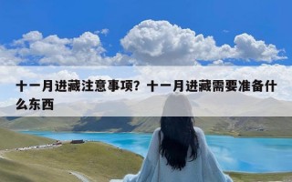 十一月进藏注意事项？十一月进藏需要准备什么东西