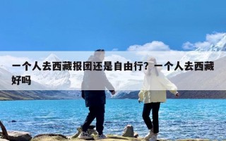 一个人去西藏报团还是自由行？一个人去西藏好吗