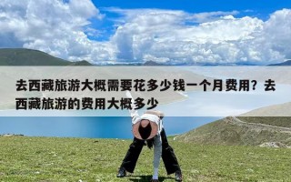 去西藏旅游大概需要花多少钱一个月费用？去西藏旅游的费用大概多少