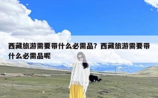 西藏旅游需要带什么必需品？西藏旅游需要带什么必需品呢