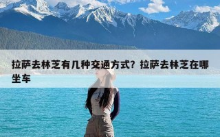拉萨去林芝有几种交通方式？拉萨去林芝在哪坐车