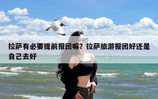 拉萨有必要提前报团嘛？拉萨旅游报团好还是自己去好