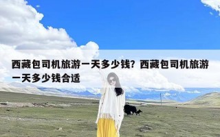 西藏包司机旅游一天多少钱？西藏包司机旅游一天多少钱合适