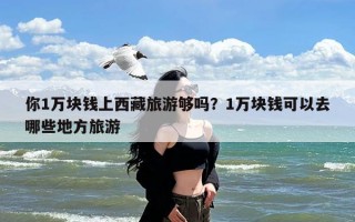 你1万块钱上西藏旅游够吗？1万块钱可以去哪些地方旅游