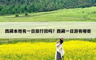 西藏本地有一日旅行团吗？西藏一日游有哪些