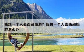 我想一个人去西藏旅游？我想一个人去西藏旅游怎么办