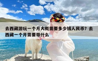 去西藏游玩一个月大概需要多少钱人民币？去西藏一个月需要带什么