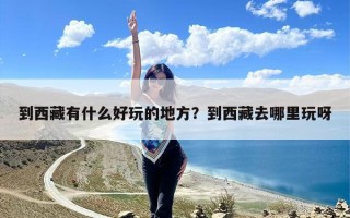 到西藏有什么好玩的地方？到西藏去哪里玩呀