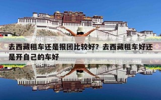去西藏租车还是报团比较好？去西藏租车好还是开自己的车好