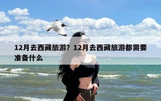 12月去西藏旅游？12月去西藏旅游都需要准备什么