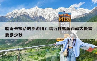 临沂去拉萨的旅游团？临沂自驾游西藏大概需要多少钱