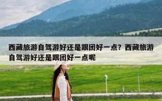 西藏旅游自驾游好还是跟团好一点？西藏旅游自驾游好还是跟团好一点呢
