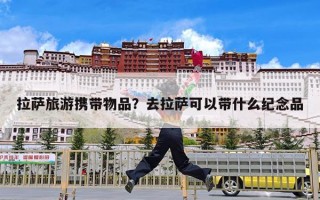 拉萨旅游携带物品？去拉萨可以带什么纪念品