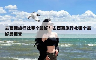 去西藏旅行社哪个最好？去西藏旅行社哪个最好最便宜