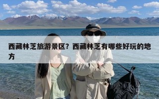 西藏林芝旅游景区？西藏林芝有哪些好玩的地方