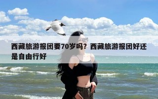 西藏旅游报团要70岁吗？西藏旅游报团好还是自由行好