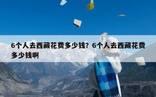 6个人去西藏花费多少钱？6个人去西藏花费多少钱啊
