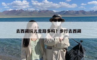 去西藏玩儿走路多吗？步行去西藏