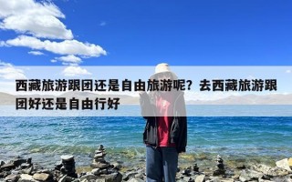 西藏旅游跟团还是自由旅游呢？去西藏旅游跟团好还是自由行好