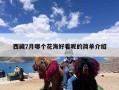西藏7月哪个花海好看呢的简单介绍