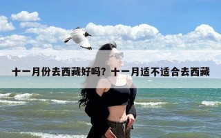 十一月份去西藏好吗？十一月适不适合去西藏