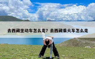 去西藏坐动车怎么走？去西藏乘火车怎么走