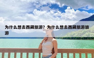 为什么想去西藏旅游？为什么想去西藏旅游旅游