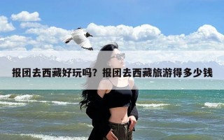 报团去西藏好玩吗？报团去西藏旅游得多少钱