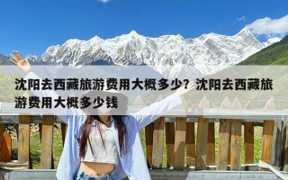 沈阳去西藏旅游费用大概多少？沈阳去西藏旅游费用大概多少钱