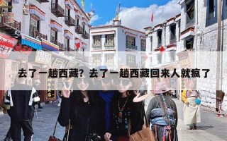 去了一趟西藏？去了一趟西藏回来人就疯了