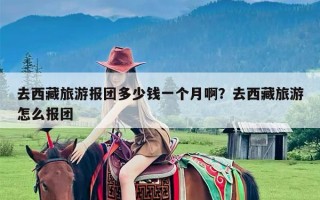 去西藏旅游报团多少钱一个月啊？去西藏旅游怎么报团