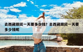 去西藏跟团一天要多少钱？去西藏跟团一天要多少钱呢