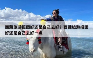 西藏旅游报团好还是自己去好？西藏旅游报团好还是自己去好一点