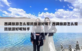 西藏旅游怎么报团旅游好呢？西藏旅游怎么报团旅游好呢知乎