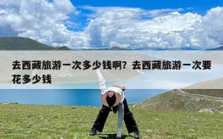 去西藏旅游一次多少钱啊？去西藏旅游一次要花多少钱